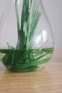 熱湯を入れて数分待ったあと、氷でキリッと冷やしてみて。