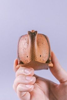 つぶらな瞳✨