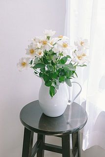 たっぷり飾れます。