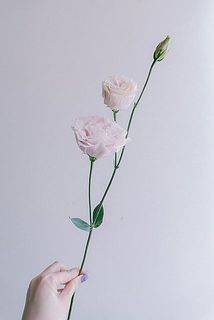 花つきには個体差があります。