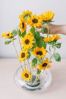 ※剣山のみの販売です。