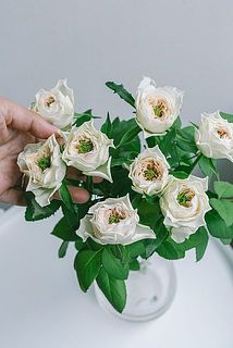 小ぶりなサイズ感が可愛い。