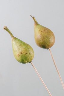 梨は一部、傷や変色がある場合があります。