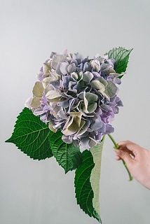 色味には個体差がございます。