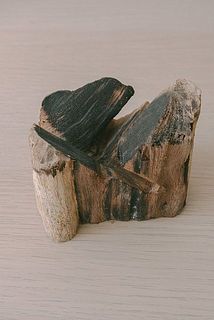 古木のサイズや色味には個体差がございます。