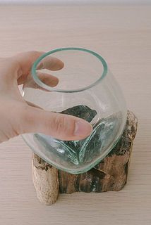 古木の凹みに合わせておきます。