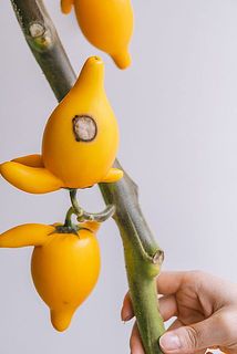傷がついている場合がございます。