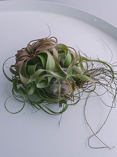 お届け例