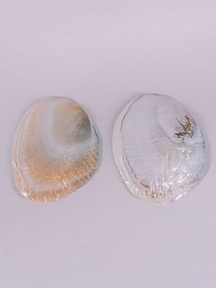 プレートの色味や形には個体差がございます。