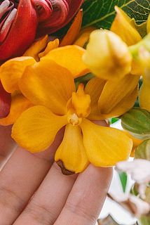花びらや葉っぱに傷や変色がある場合がございます。