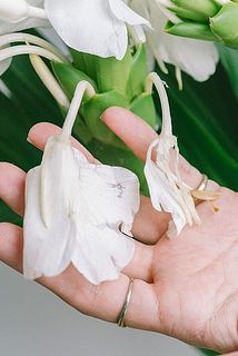 お花が繊細なので、傷がついていることがございます。ご了承ください。
