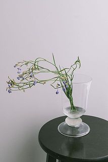 今回は4本お届けします。