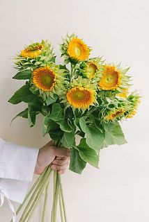 たっぷり10本お届け。
