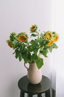 花器に飾ると絵画のよう。