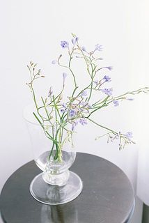 しっかり水揚げすると長く飾れます。