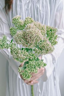 1本のボリュームがすごい✨