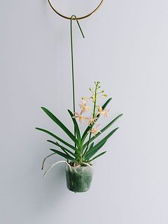 吊り下げ用のワイヤーフックがつき。（※ゴールドの金具は別売り）