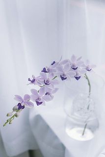 長く楽しめます。