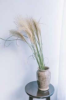 ススキなどの背丈のある植物も安定して支えてくれます。