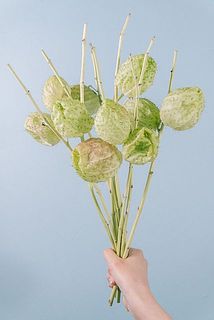 たっぷり10本お届けします。