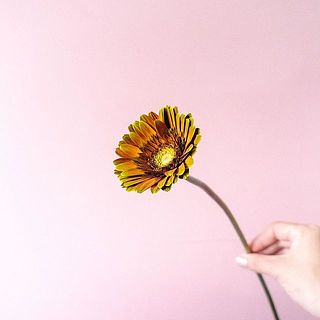人工的に染めているので、手や服、家具に付着しないよう取り扱いに注意してください。