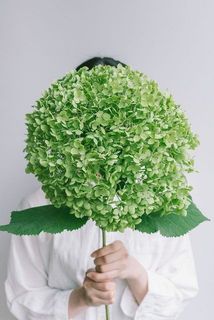 特大サイズ！