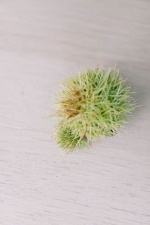 一部、茶色く変色している場合がございます。