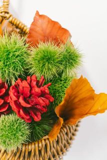 トゲに気をつけながら自由に詰めてください🍁