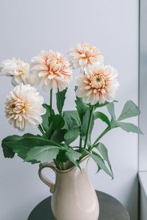 5本お届け。