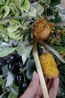 ごろごろつやつや🌽
