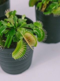 かわいい〜！！