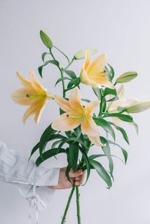 2本組でお届けします