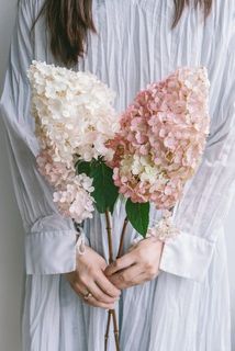 2本でお届けします