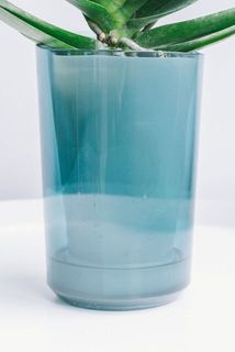 底面給水タイプなので、水やりもらくちん。