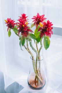 5本お届けします。