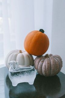 今の時期はかぼちゃと一緒に飾ってもかわいい🎃