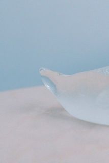 尾びれまで細かく再現。