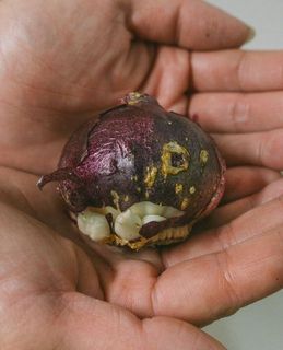 傷や変色がある場合がございます。