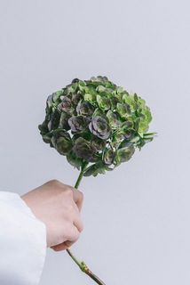 紫陽花お届け例