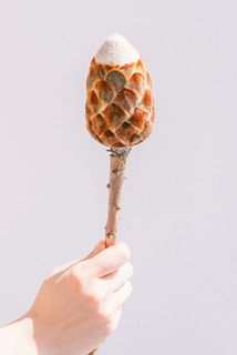 1本でお届けします。