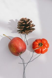 りんごや松ぼっくりはワイヤーをかけてお使いください🍎