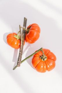 パンプキンはパーツごとに分かれたものをお届けする場合がございます。