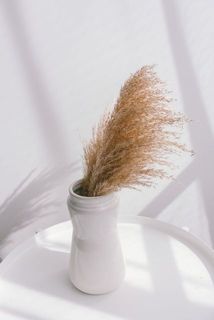 パンパスは茶色っぽい色味をお届けする場合がございます