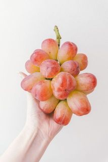 「バイオレットキング」びっくりするほど大粒のぶどうです。なんと500円玉を超えるサイズ！