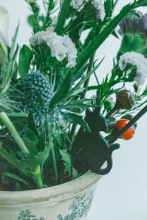 ピックは短めなので花瓶に引っ掛けてお楽しみください。