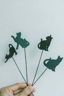 ピックは４種類ございます。何が届くかはお楽しみに🐈‍⬛