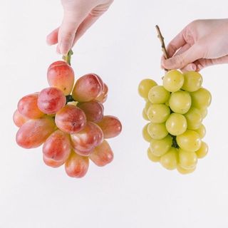 贅沢な食べくらべ。