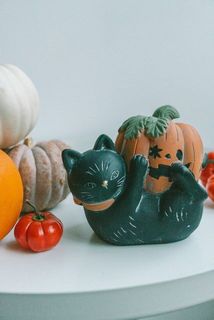 玄関などにソラナムやカボチャと合わせて飾ってもかわいい。