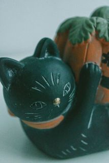 キリッとした顔の猫です🐈‍⬛