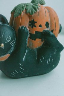 カボチャはポップなデザインです🎃